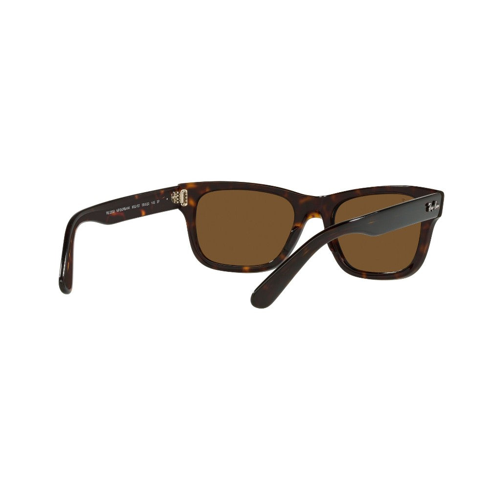 Ray-Ban  Mr Burbank Polarizado